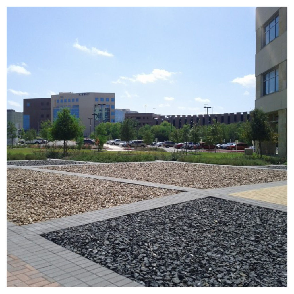 UT Health Sciences Center