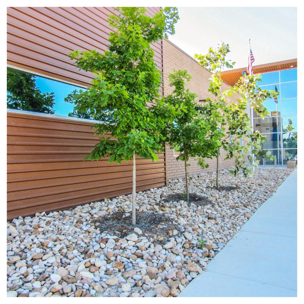 Basis Charter School