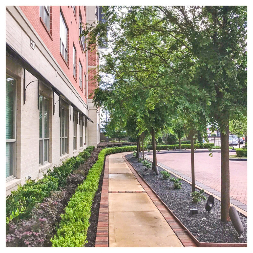 Hanover West University