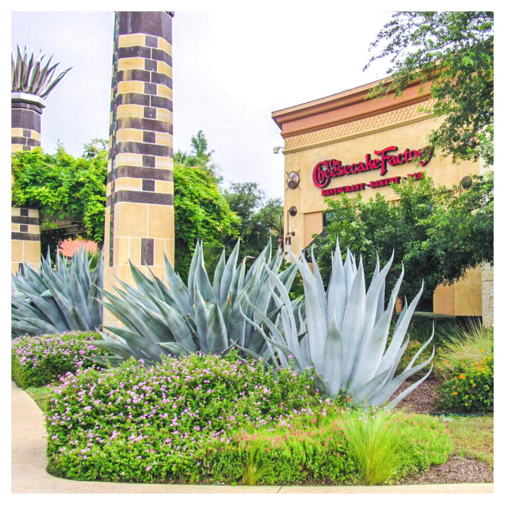La Cantera, San Antonio