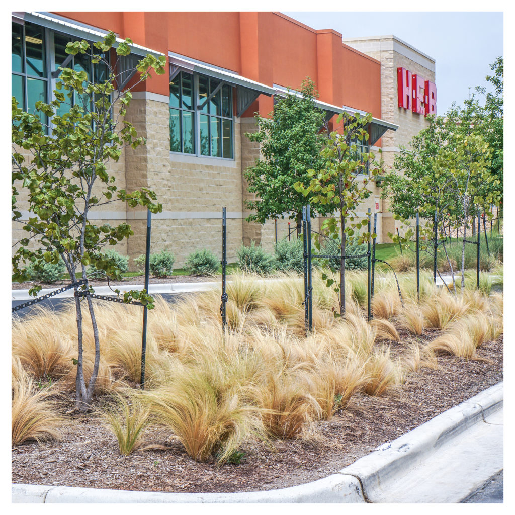 HEB